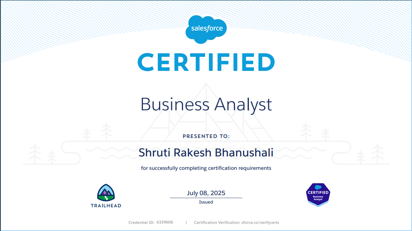 Salesforce Business Analyst