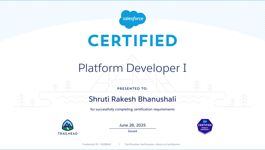 Salesforce Platform Developer